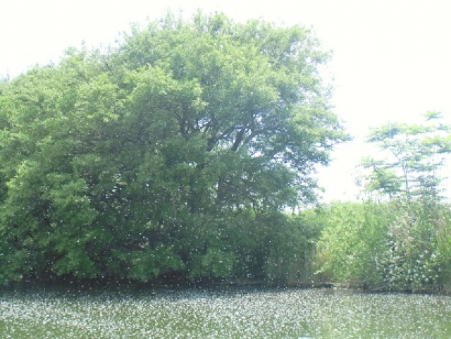 CIMG2572
