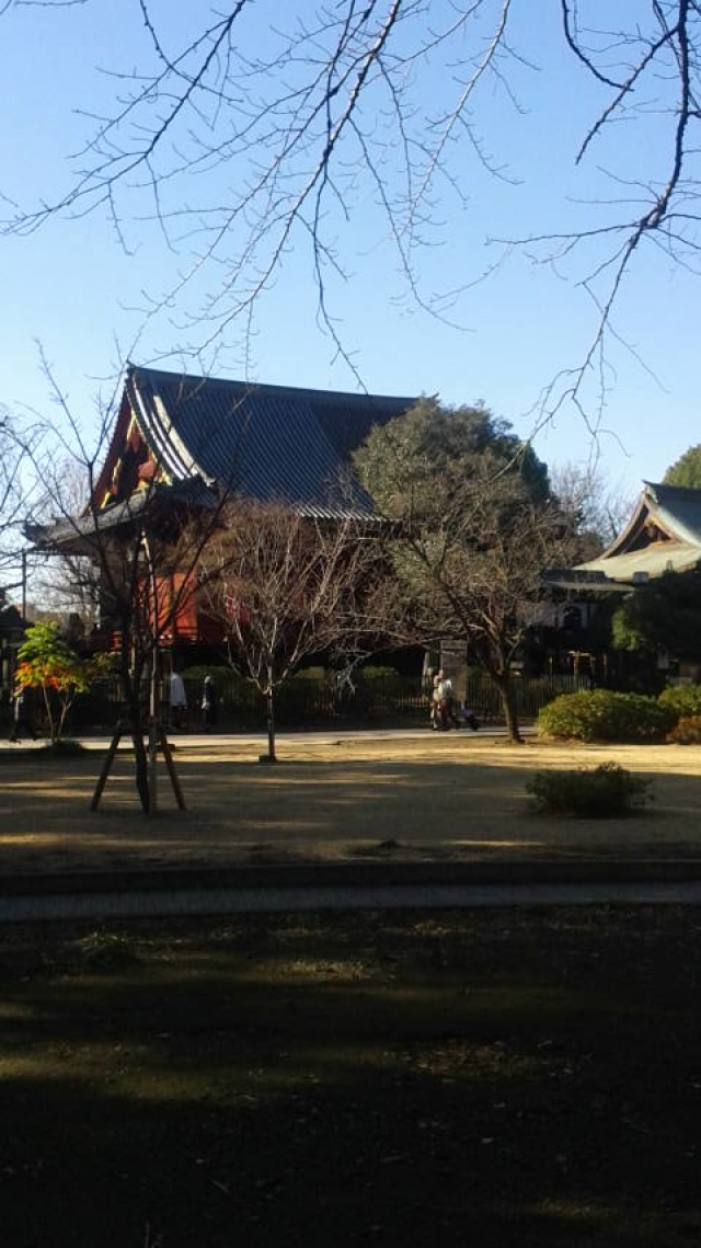 DCIM0031