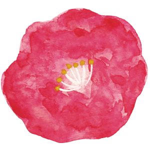 さざんかのアイコン