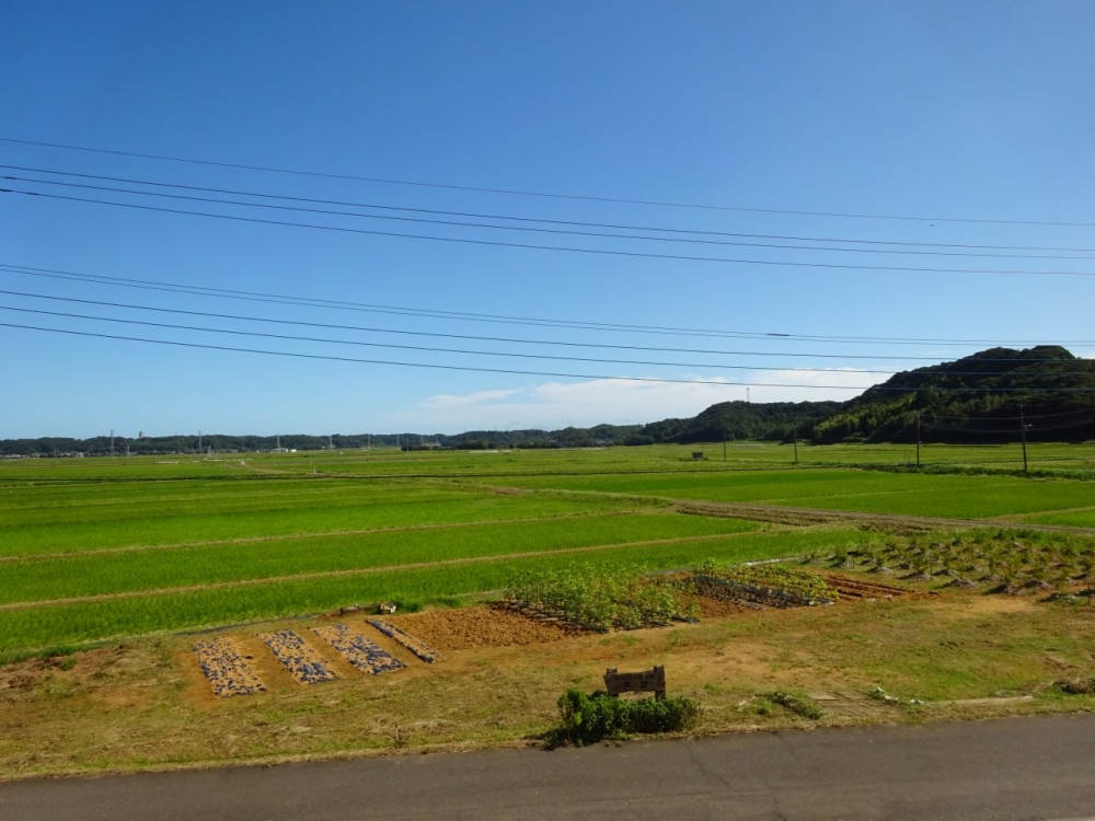 笹川なずな工房 外観2